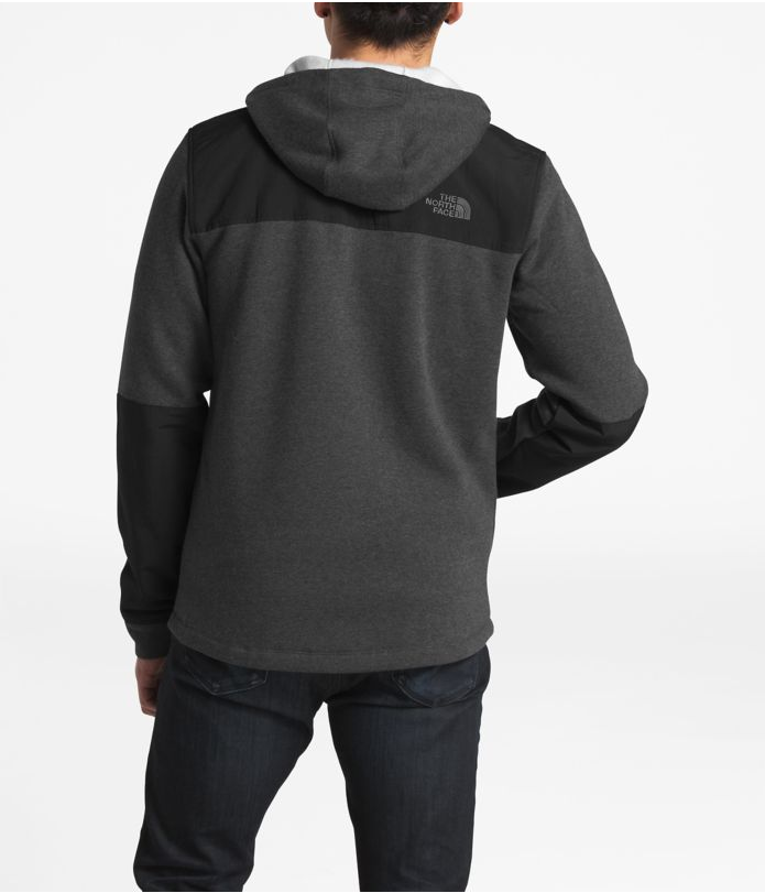 the north face men's alphabet city hoodie