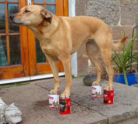 Betty on soup cans