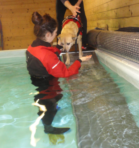 Betty gets hydrotherapy