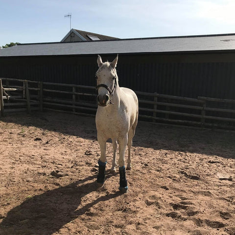 Judith Evans' Peter in the sand school