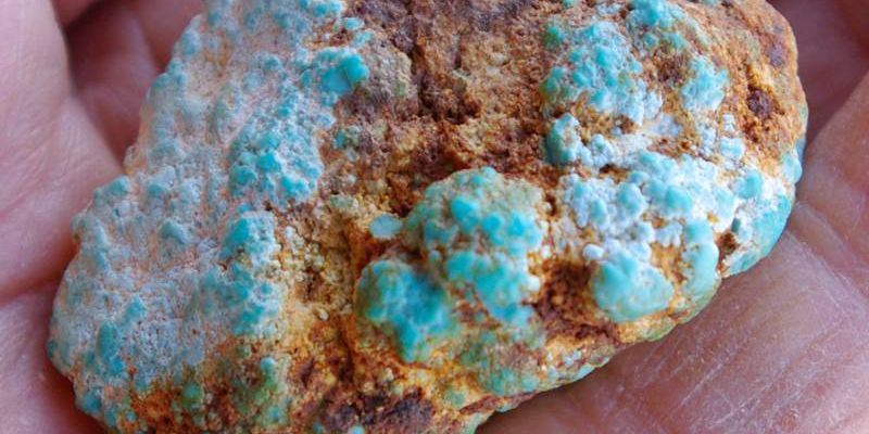 Fox Turquoise Rough