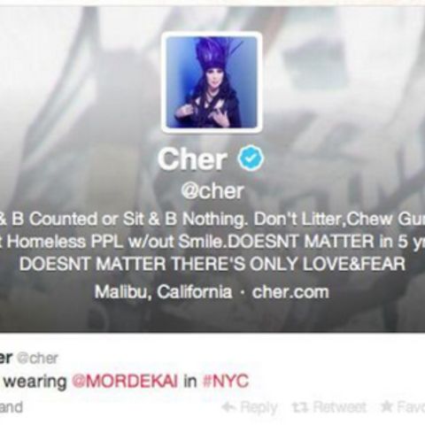 Cher: black feather headdress and harness, Dressed 2 Kill tourbook, promo, and merch