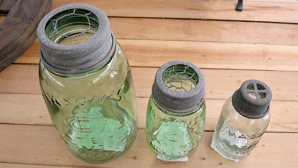 REVIVED Mason Jar Frogs