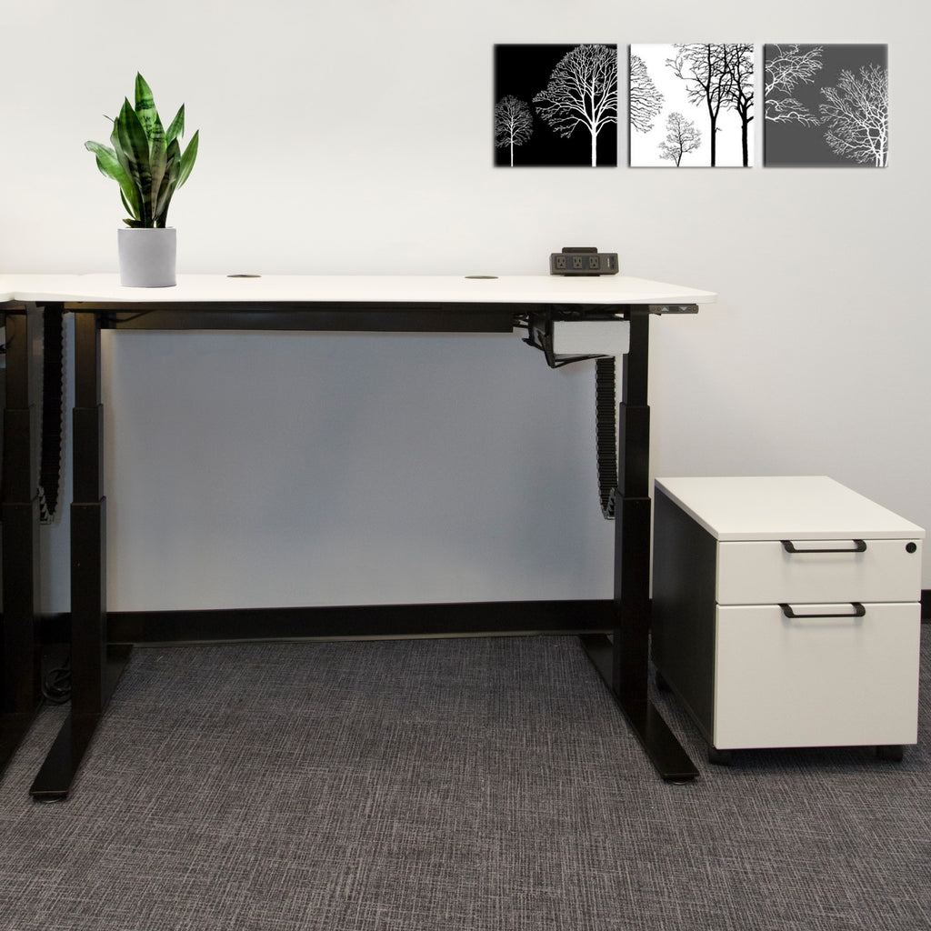 Sit Stand Desk at Call Center with Storage