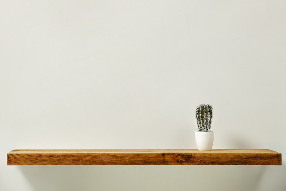 Small shelf includeed in PoppinPod Kolo 1 with a cactus
