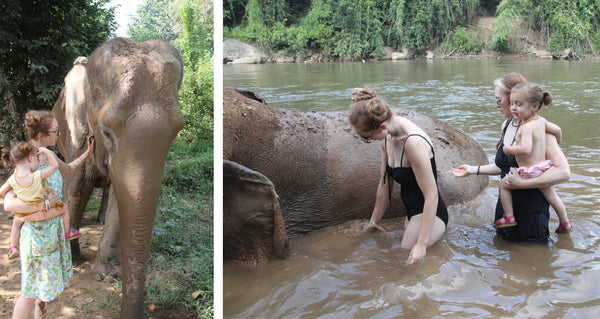 Swimming with elephants in Thailand