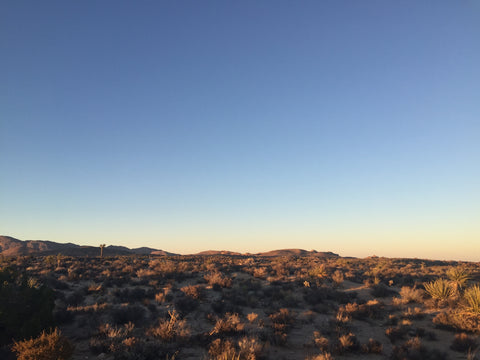 Mojave Desert scent inspiration The Nomad Society