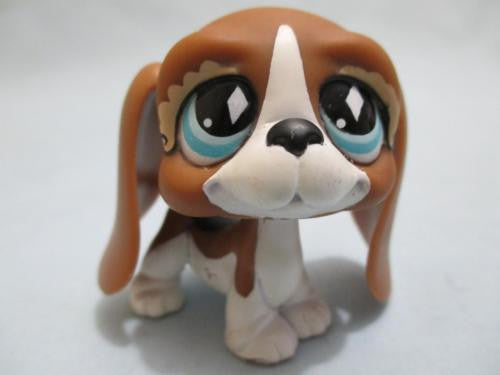 lps basset