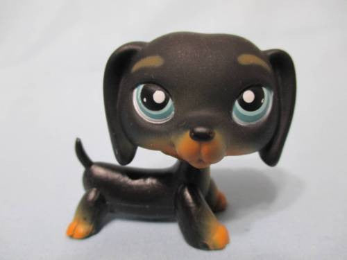 littlest pet shop dachshund