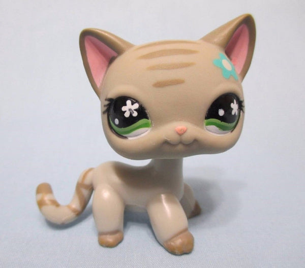 littlest pet shop shorthair