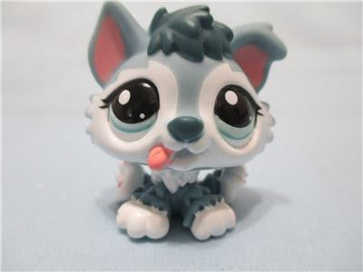 lps husky puppy