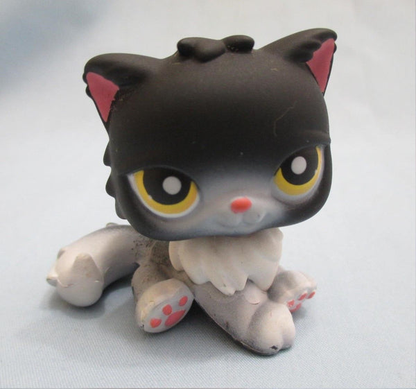 littlest pet shop black cat