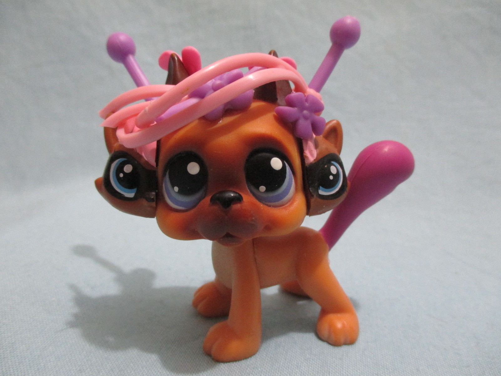 lps dog customs