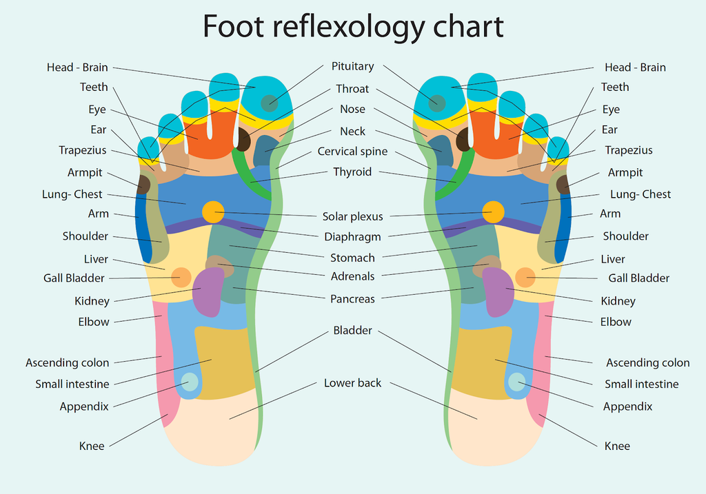 Foot Reflexology and the Reflex Points