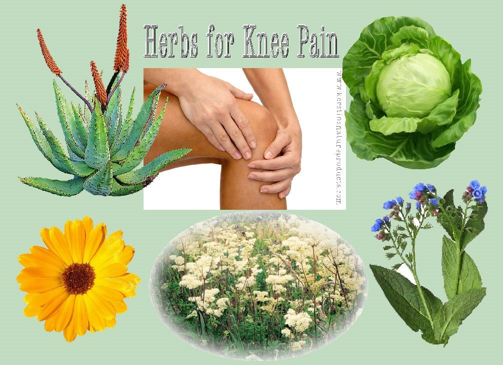 Best Herbal Medicine For Knee Joint Pain