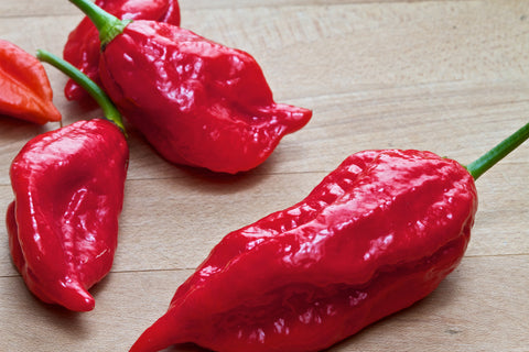 Capsaicin - Kerstin's Nature Products