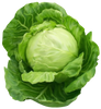 cabbage for pain - kerstin's nature products