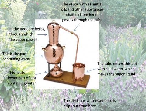 distiller eo - kerstins nature products