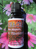 echinacea extract - Kerstin's Nature Products