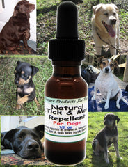 natural flea remedy dogs - kerstin's nature products