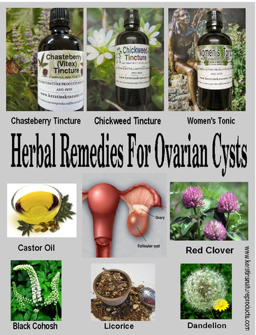 Best Herbal Remedies for Ovarian Cysts