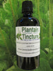 Plantain Tincture - Kerstins Nature Products