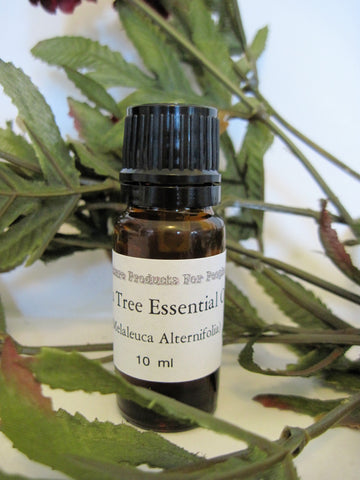 tea tree oil - kerstin's nature products