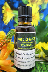 wild lettuce tincture