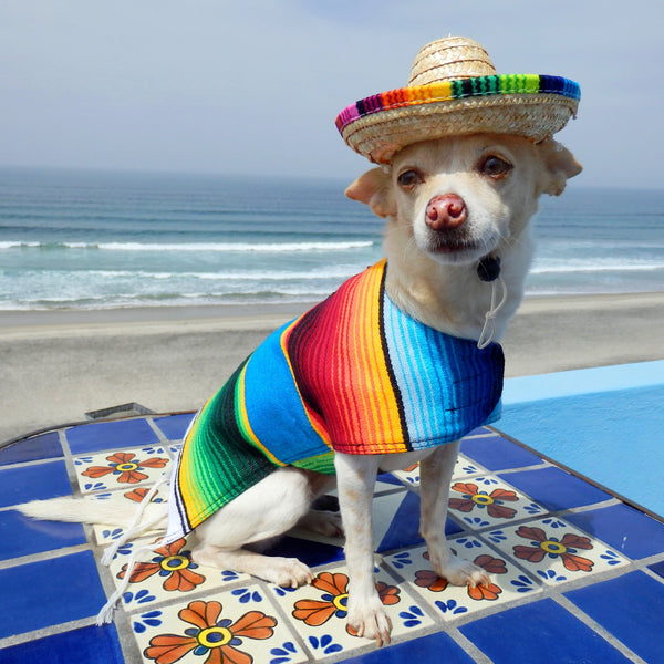 Dog Sombrero – Baja Ponchos