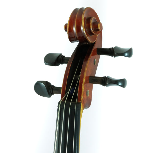 DLuca CA400VA-14 14-Inch Orchestral Series Handmade Viola Outfit 