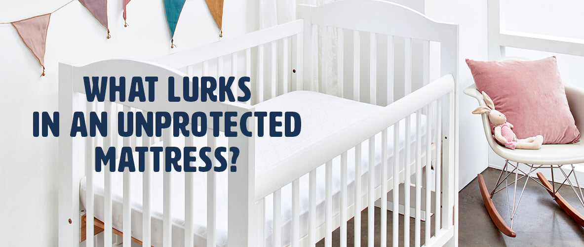 What is in an unprotected Mattress? Why do I need a Protect-A-Bed protector?