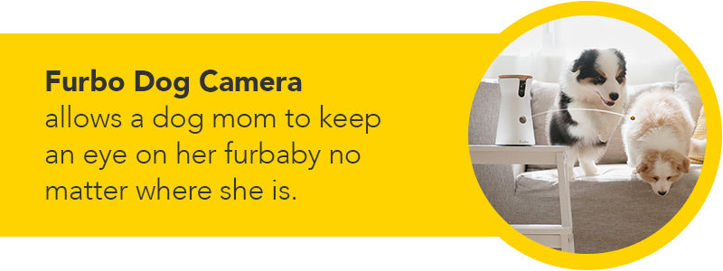 furbo dog camera for christmas