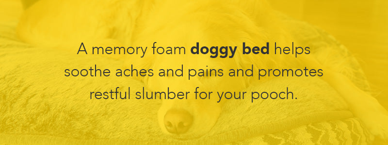 memory foam doggy bed