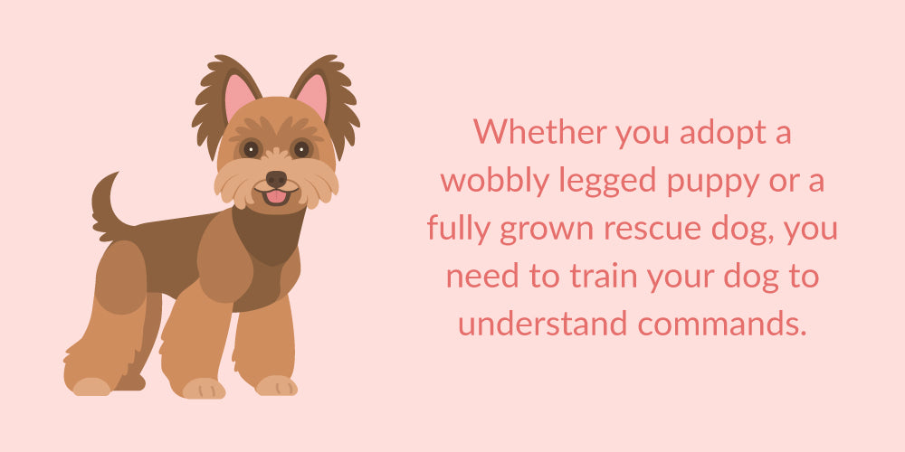 train your dog to understand commands
