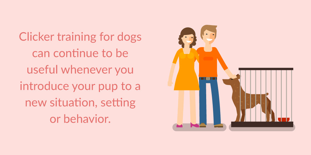 clicker training can be useful when introducing your dog to a new situation