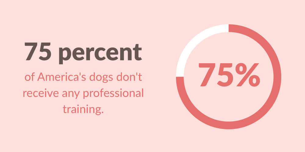 75% of america's dogs don't receive any training
