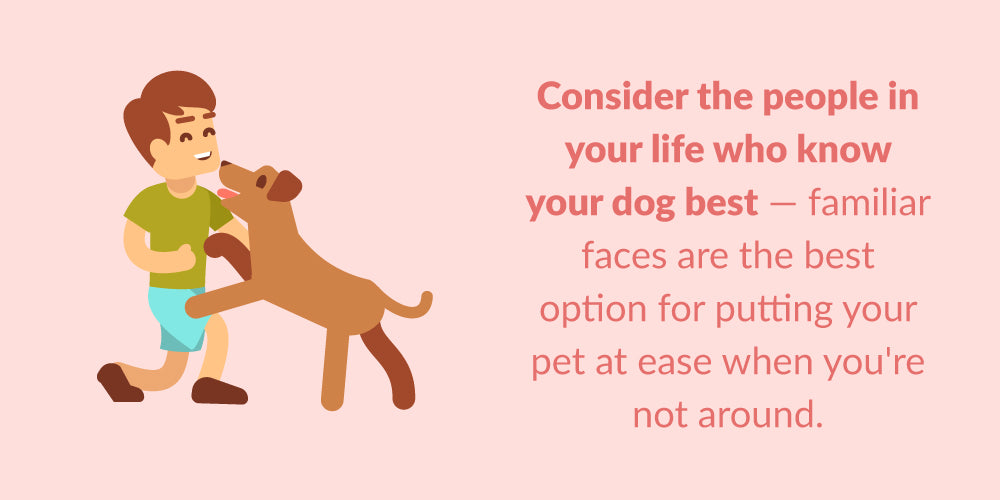 familiar faces are the best option for putting your pet at ease when you're not around