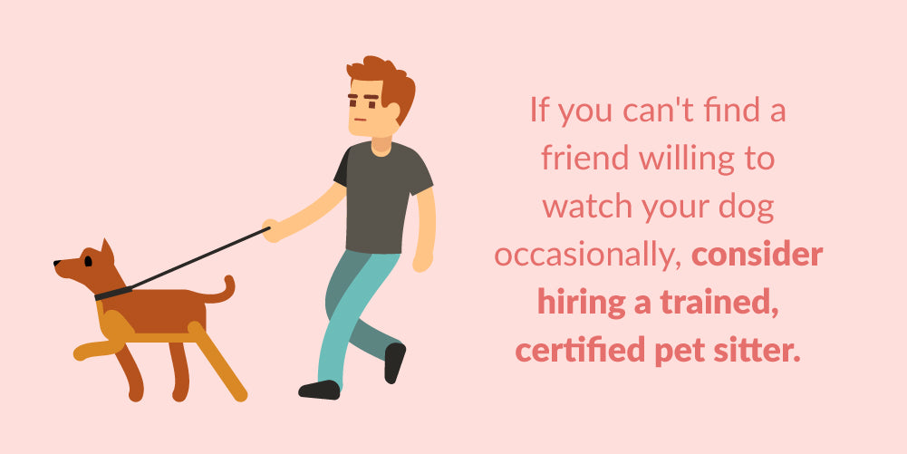 consider hiring a trained, certified pet sitter