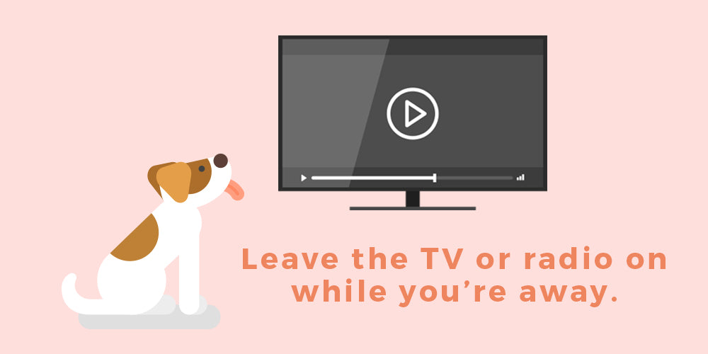 putting the tv on for your dog helps him feel less lonely