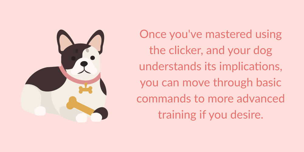 move through basic commands and advanced training with clicker