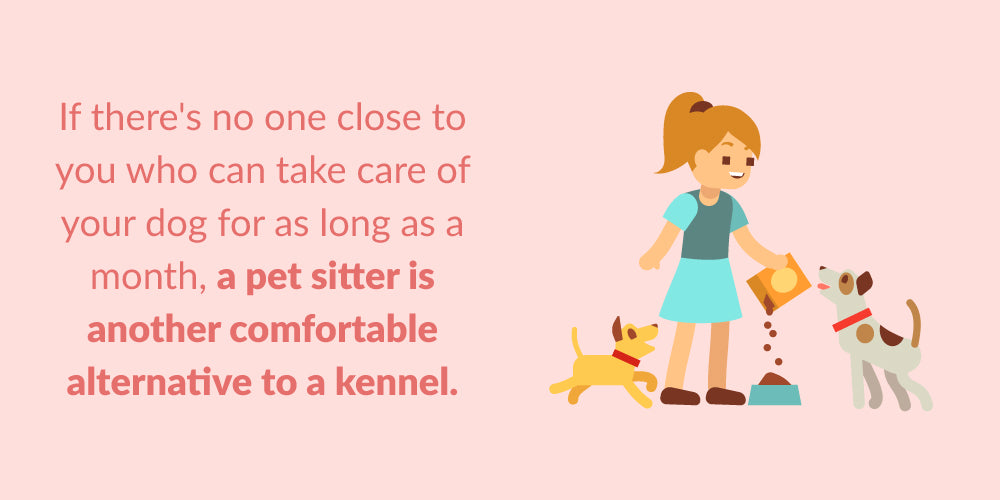 a pet sitter is a good alternative to a kennel