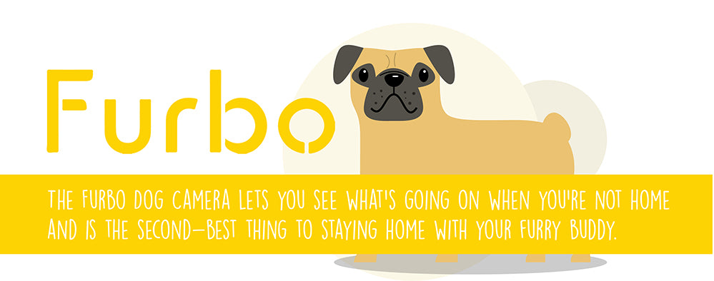 furbo dog camera let's you see what's going on when you're not at home