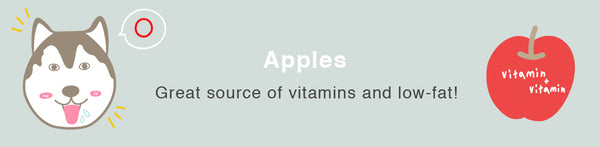 apple dog healthy toxic food fruits 