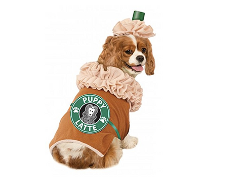 dog-costume-coffee
