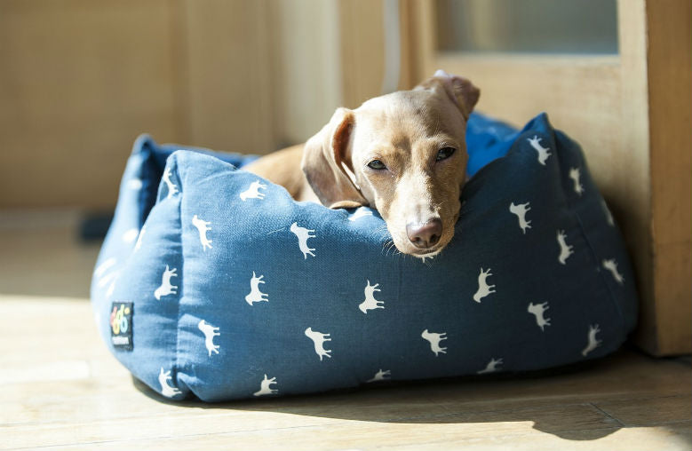 new-dog-bed