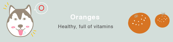 orange dog healthy toxic food fruits
