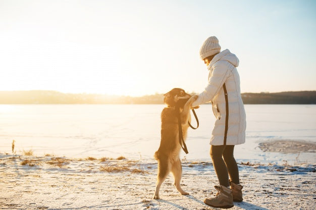 Winter walking your dog 