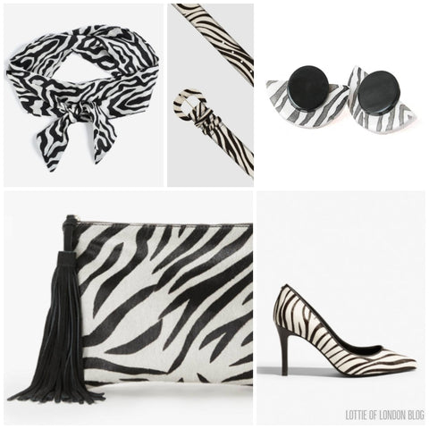 Zebra print accessories | Blog Post | Lottie Of London Jewellery