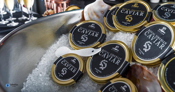 Attilus Caviar | Seafood expo 2019