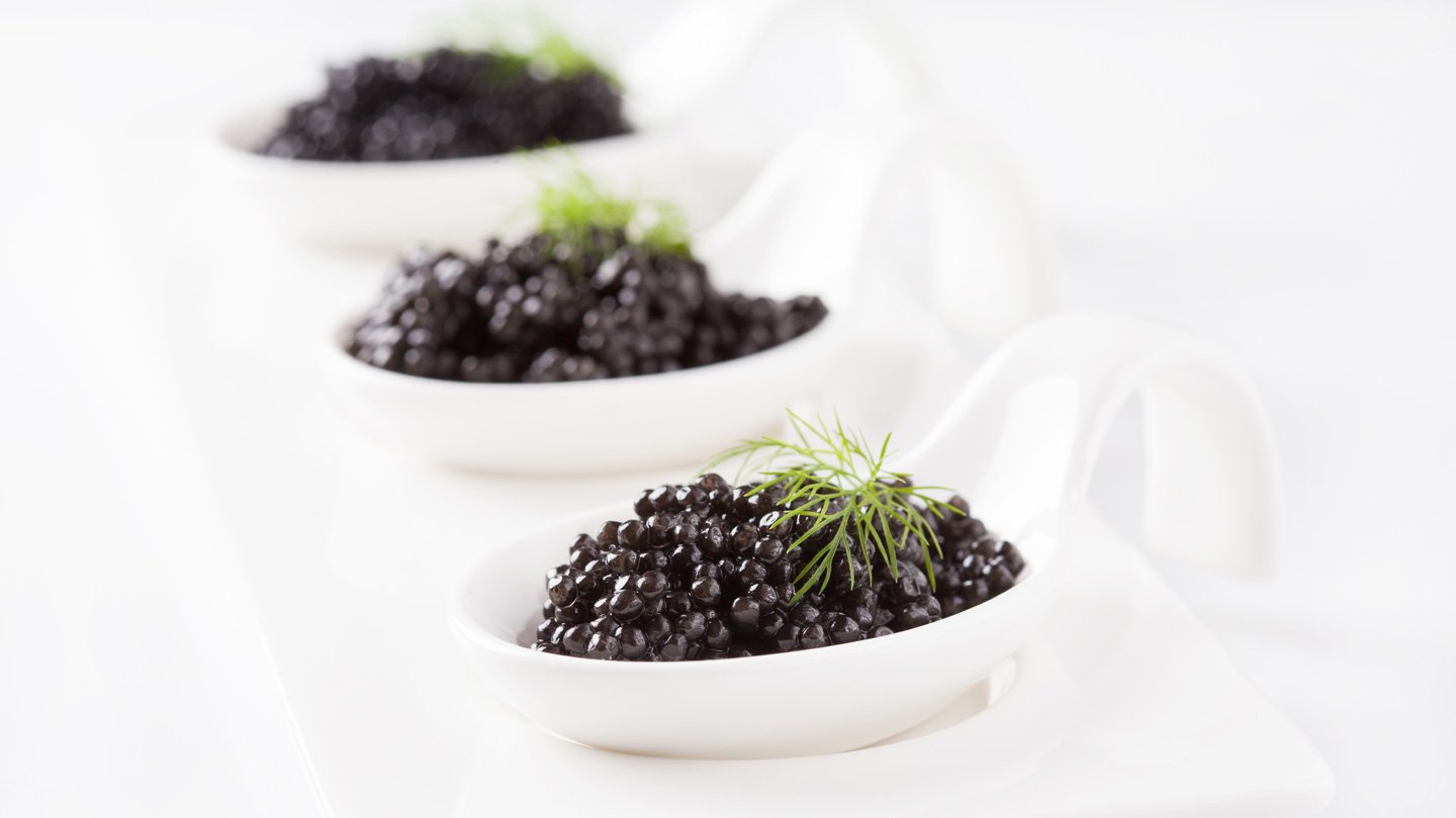 schwarzer Kaviar serviert in Keramik Schalen | Attilus Kaviar